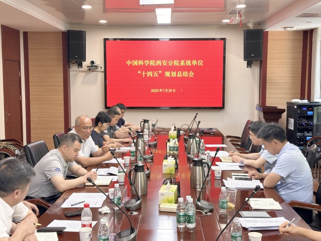 西安分院召开系统单位“十四五”规划总结暨“十五五”规划编制工作会议