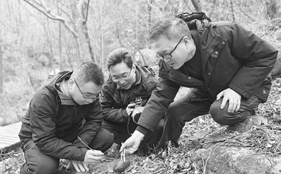 【人民政协报】把论文写在秦岭山坳与麦浪之间