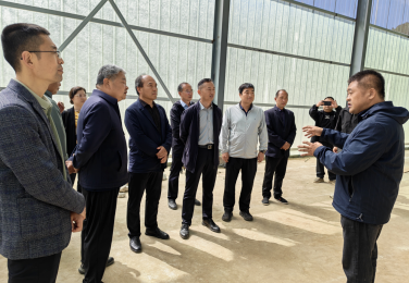 科技赋能产业振兴 产学研合作再结硕果——陕西省动物研究所药用动物示范基地在丹凤蔡川镇挂牌