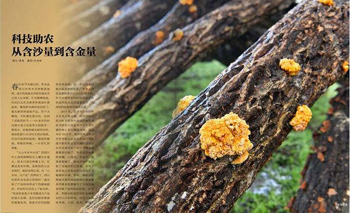 《陕西画报》：陕西乡村振兴中的陕西省科学院力量！